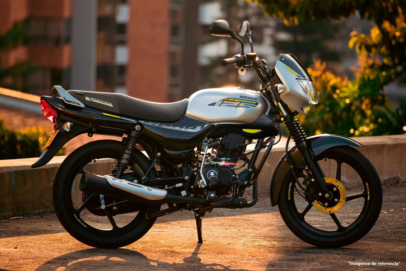 Boxer CT125 Sport a color